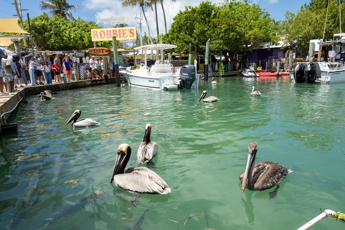 Puerto deportivo de Islamorada
