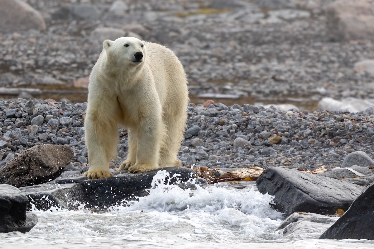 Longyearbyen