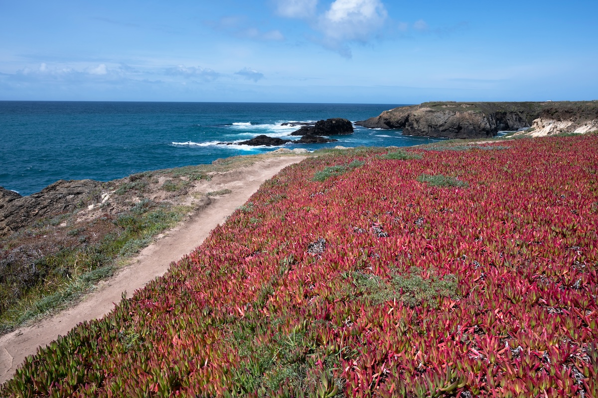 Parque Estatal Mendocino Headlands