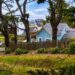 Mendocino Town