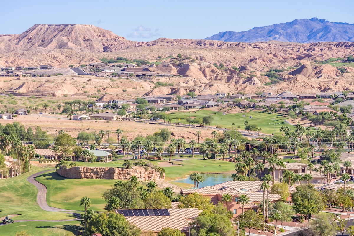 Mesquite