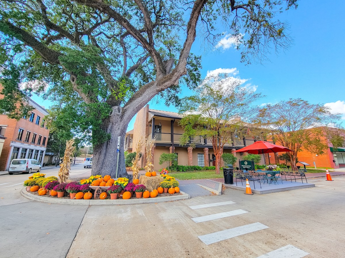Natchitoches Square