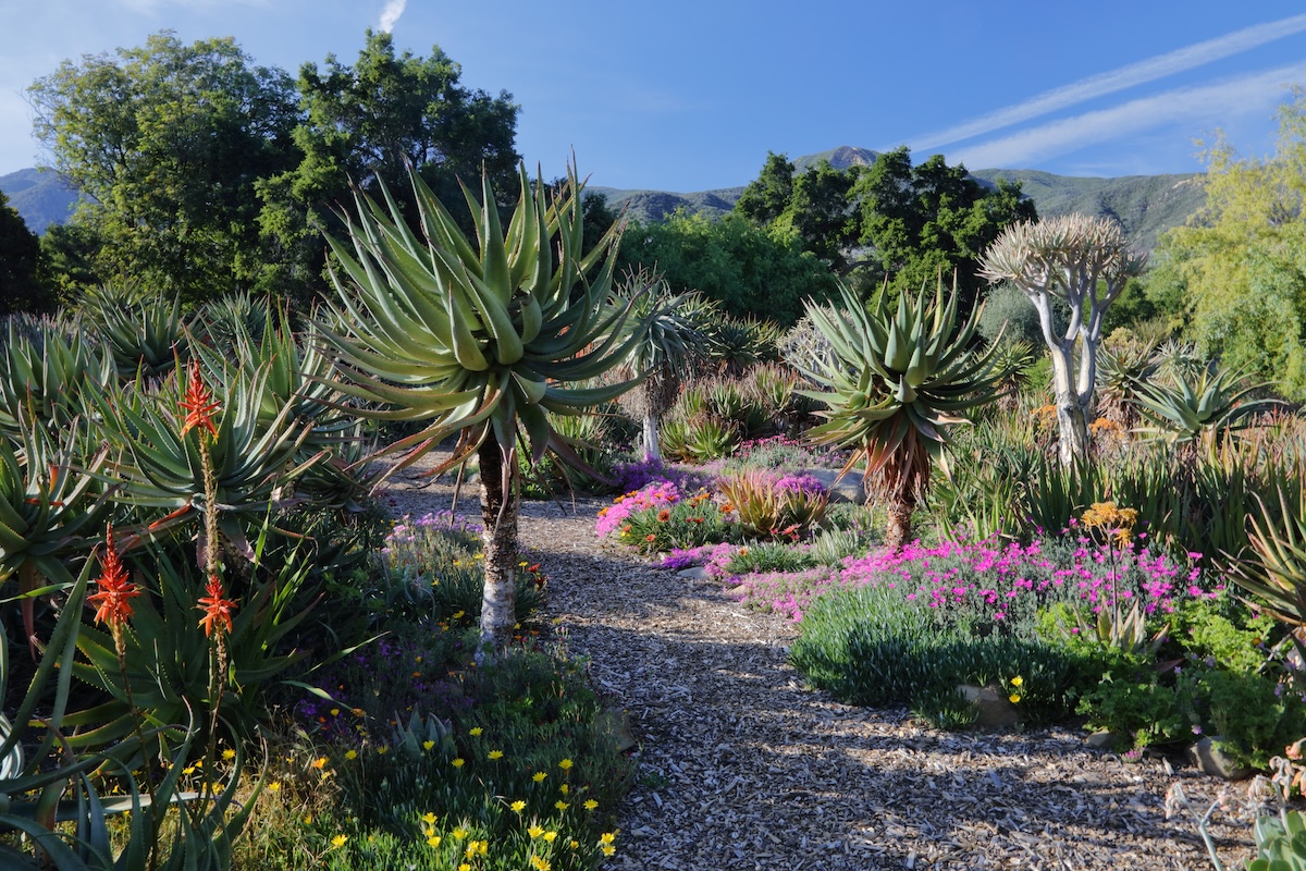 Ojai