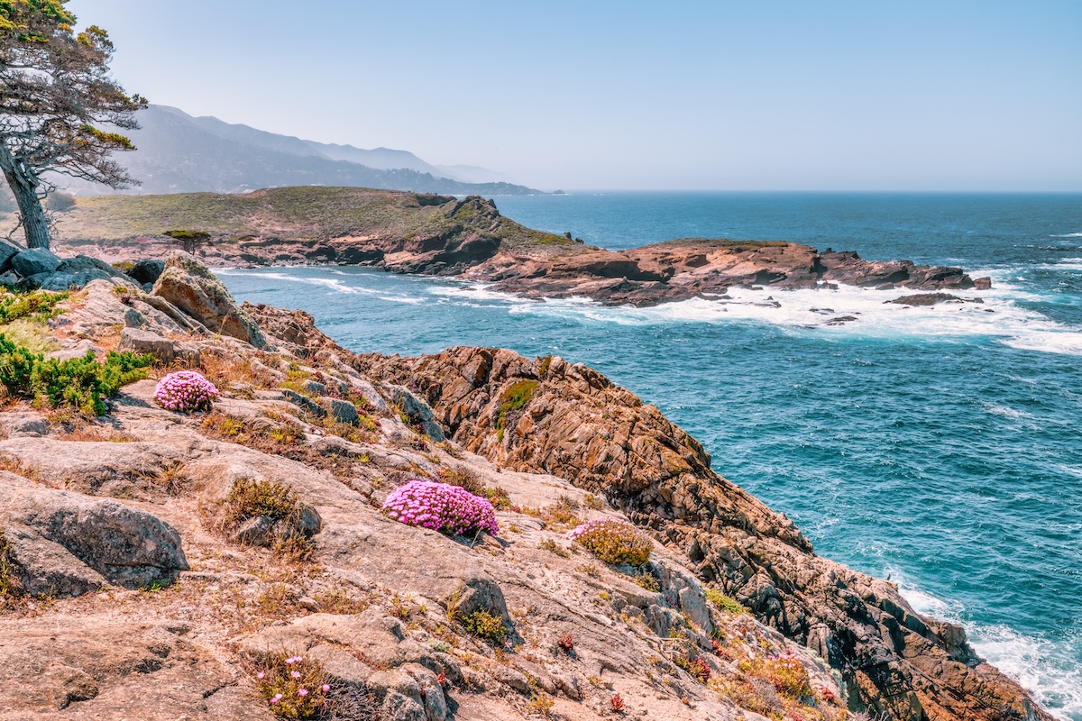 Point Lobos State Natural Reserve