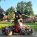 Punxsutawney