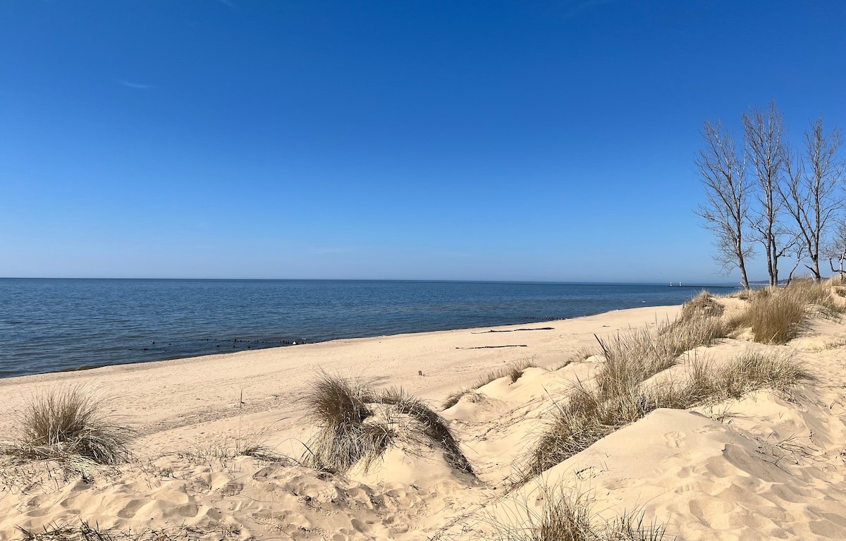 Saugatuck Beach