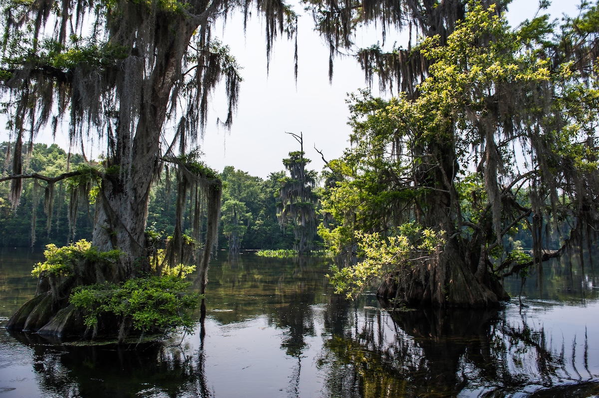 Wakulla Springs State Park