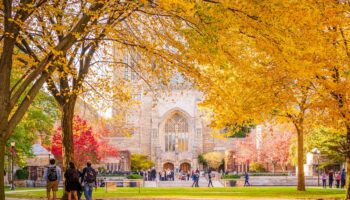 Yale University