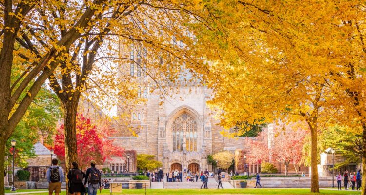 Yale University