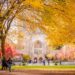 Yale University