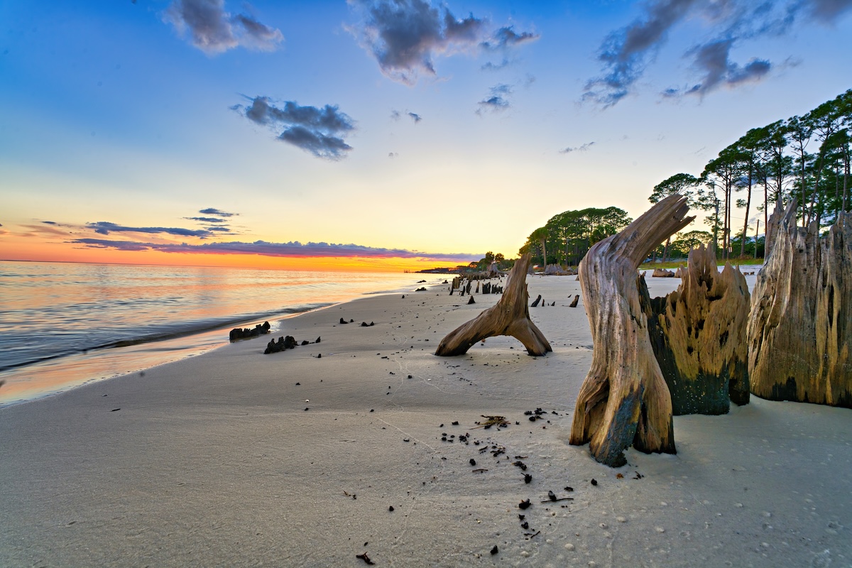 Apalachicola bay