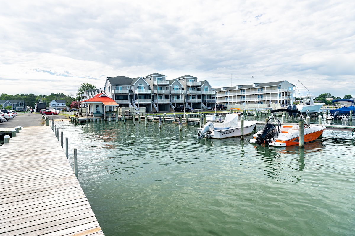 Chincoteague Virginia