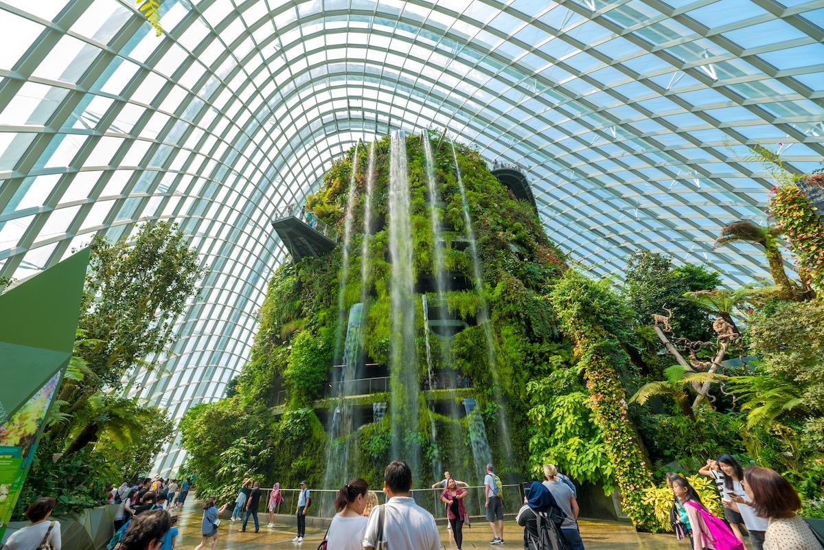 Cloud Forest Waterfall