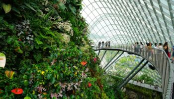 Cloud Forest at Gardens by the Bay