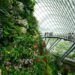Cloud Forest at Gardens by the Bay