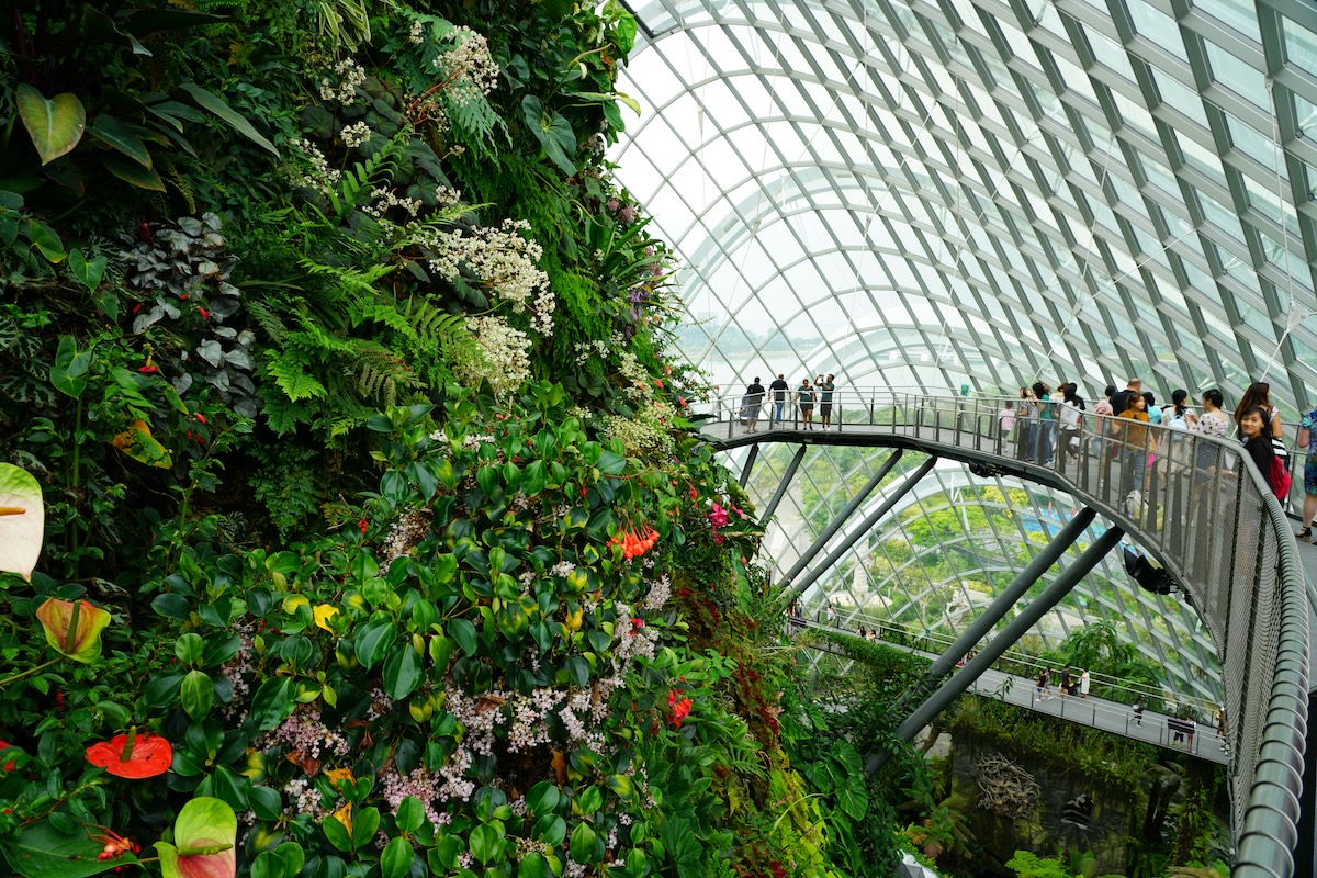 Cloud Forest at Gardens by the Bay