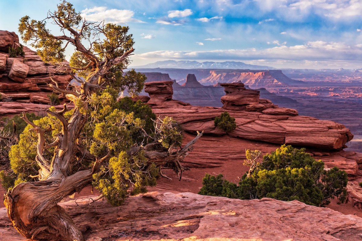 Dead Horse Point