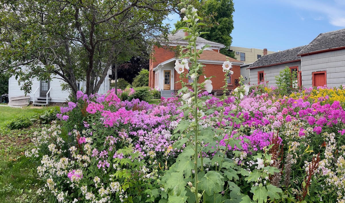 Flower garden in Bayfield