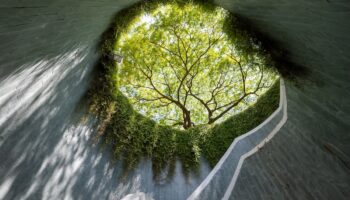 Fort Canning Tree Tunnel