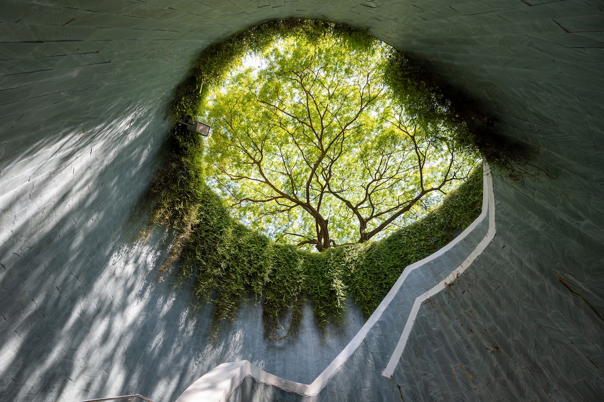 Fort Canning Tree Tunnel