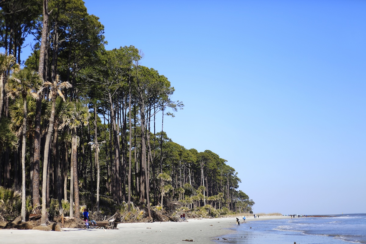 Hunting Island Maritime Forest Coastline