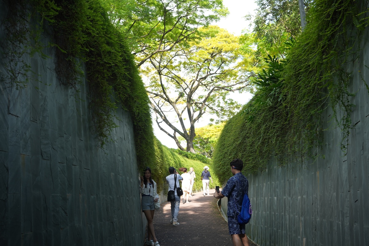Tree Tunnel in Fort Canning Park