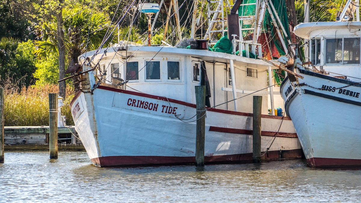 Shrimp Boats