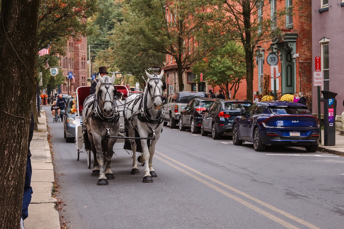 Two white horses pulling a buggy down the street. Jim Thorpe, PA