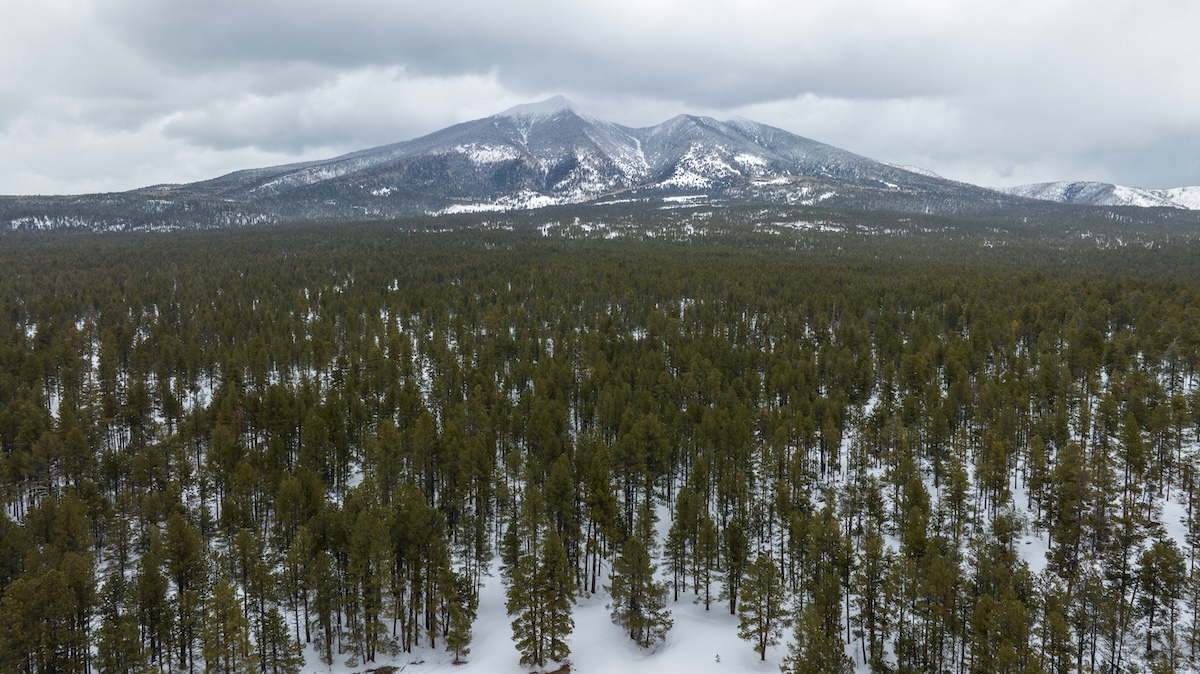 Arizona: Humphreys Peak