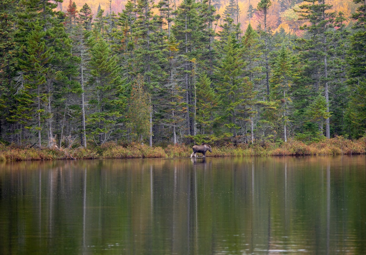 Baxter State Park