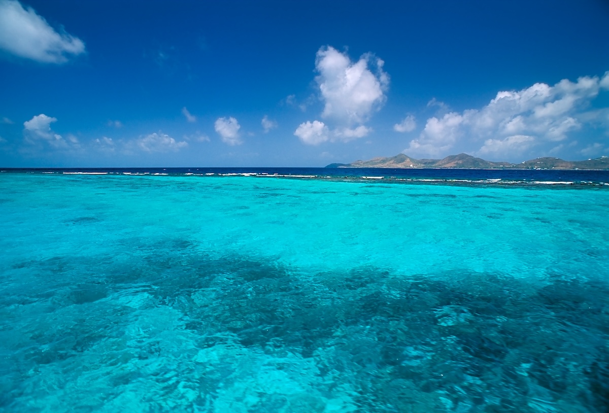 Buck Island Reef