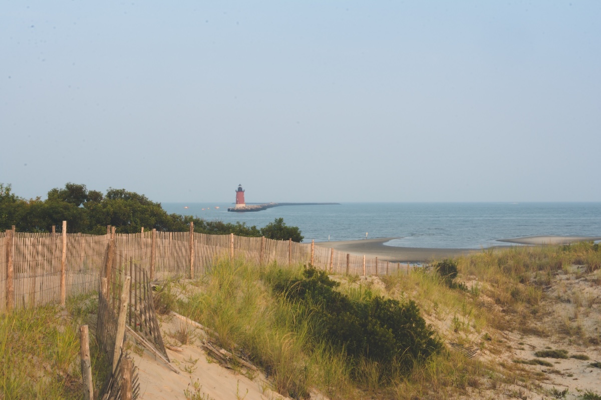 Cape Henlopen State Park