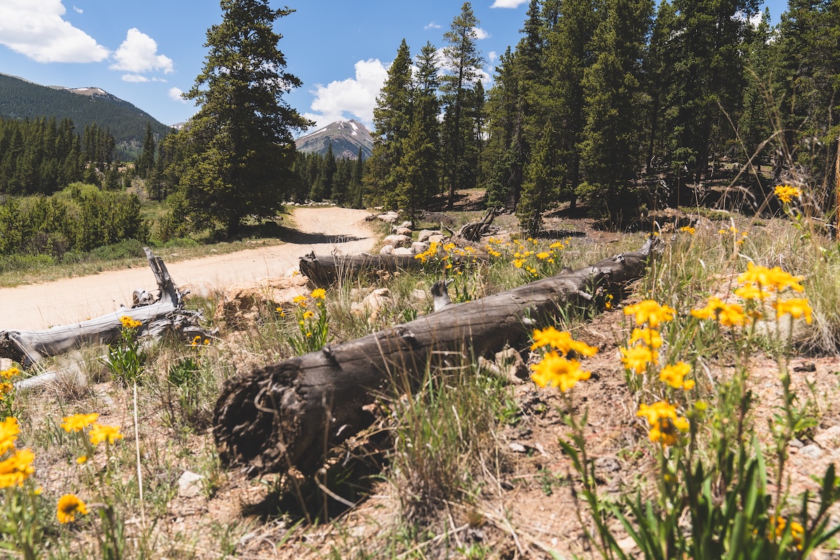 Guanella Pass