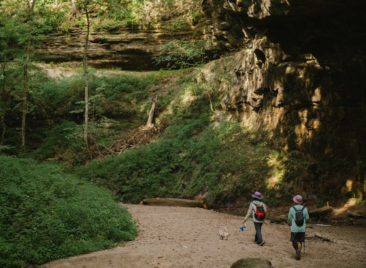 Turkey Run State Park