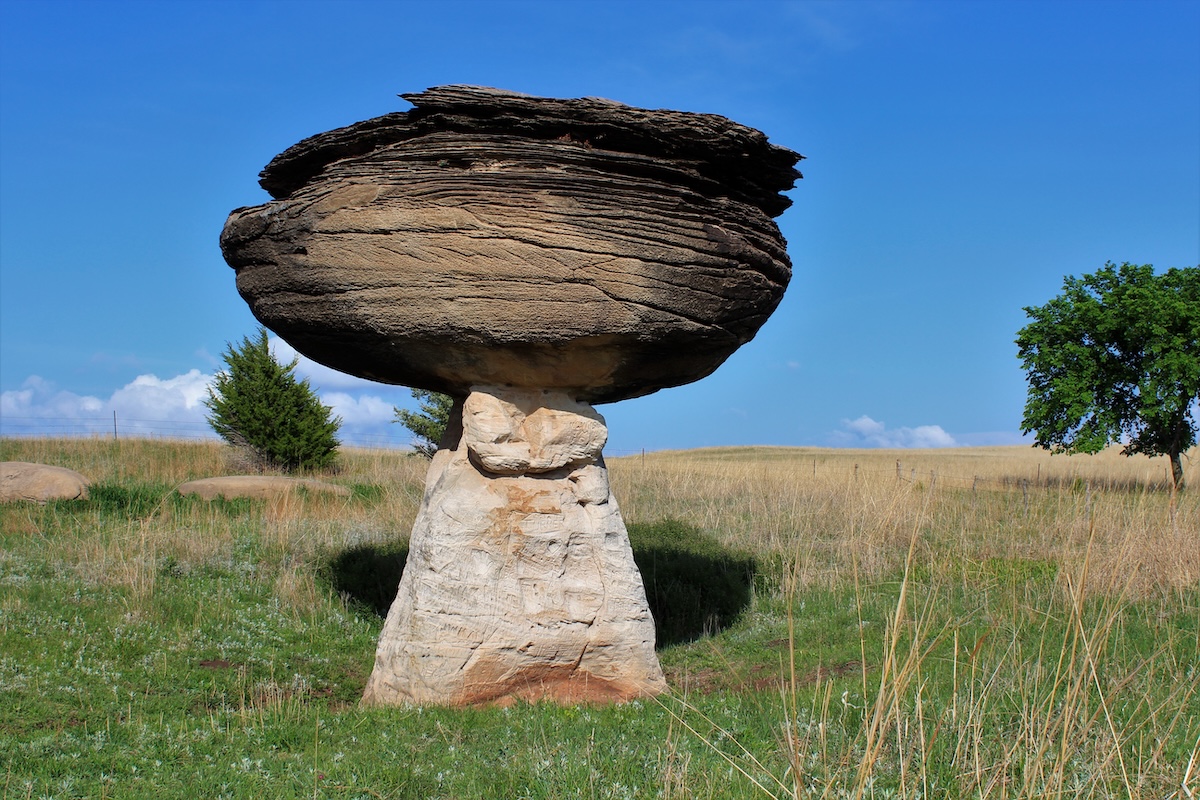 Mushroom State Park