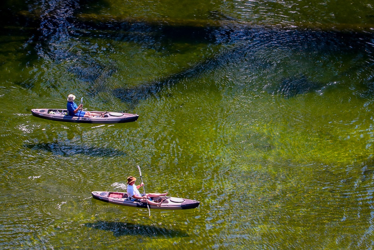 Kayakers Idaho River