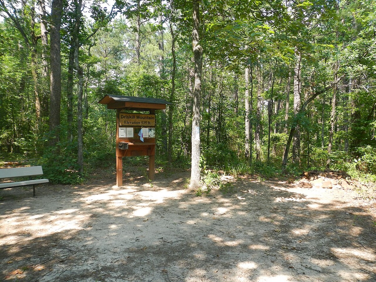Louisiana: Driskill Mountain