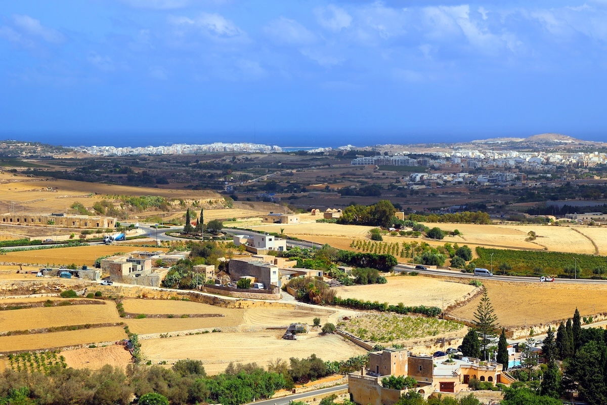 Mdina View