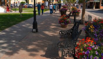 Mesilla