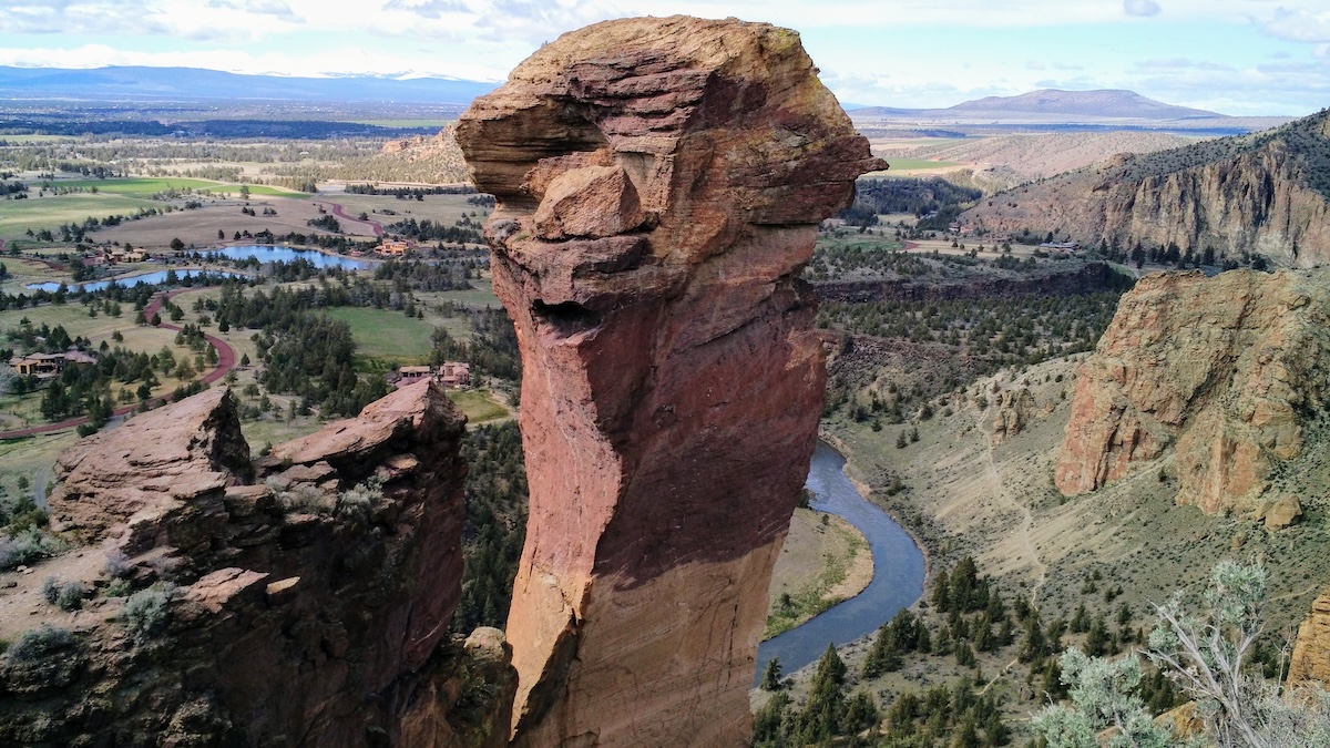 Monkey Face