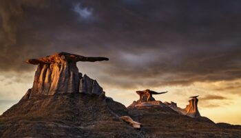 Stone Wings