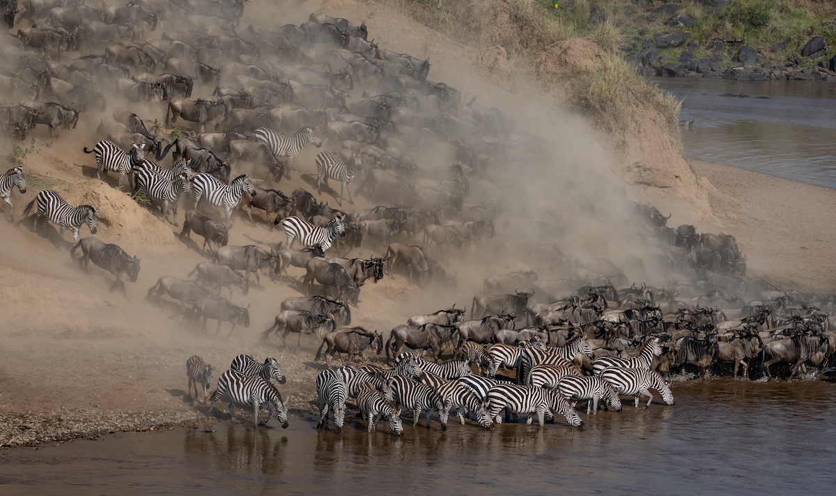 Great Migration