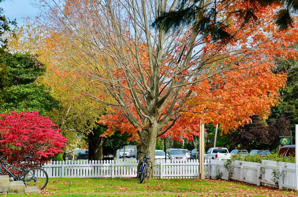 Bar Harbor