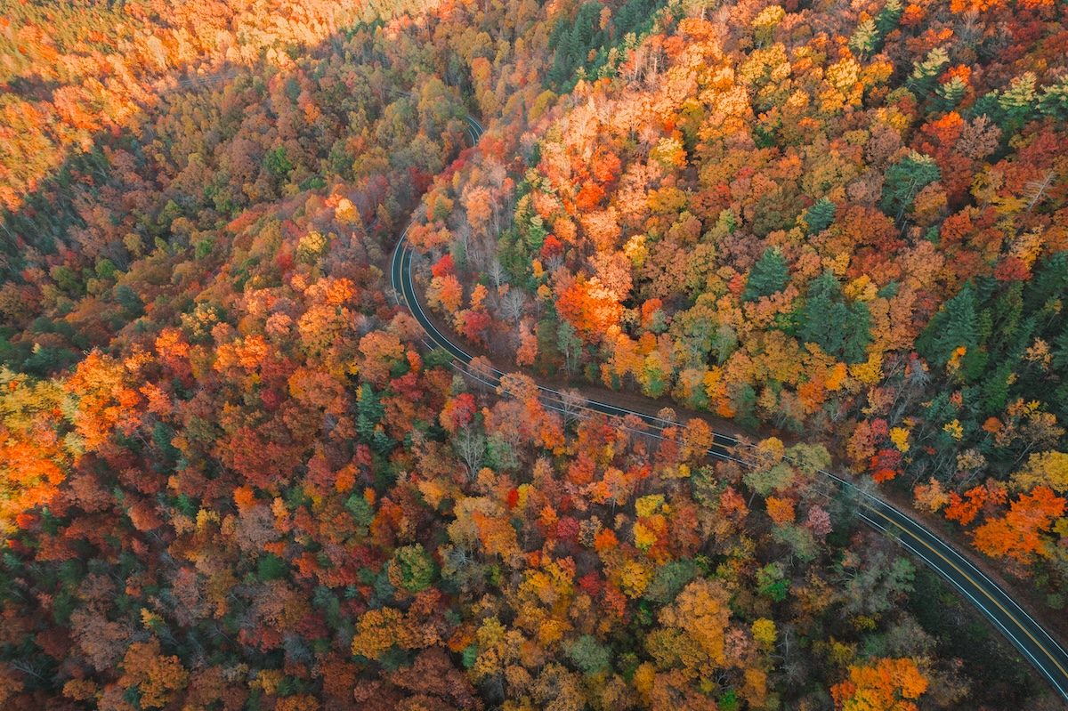 Cherohala Skyway