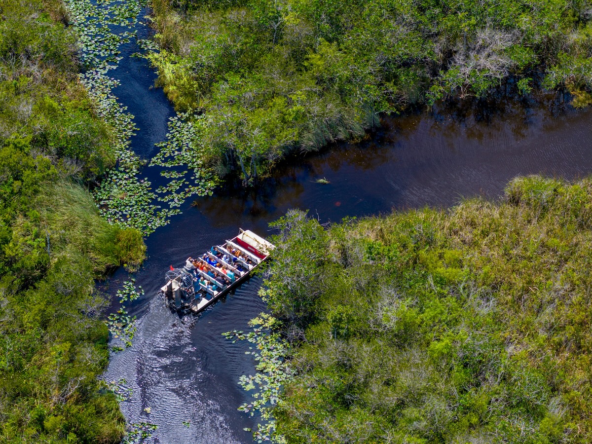 Everglades