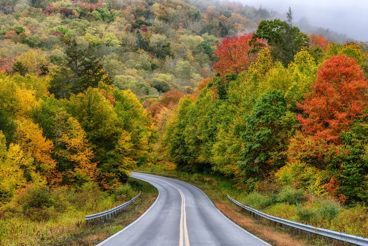 Highland Scenic Highway