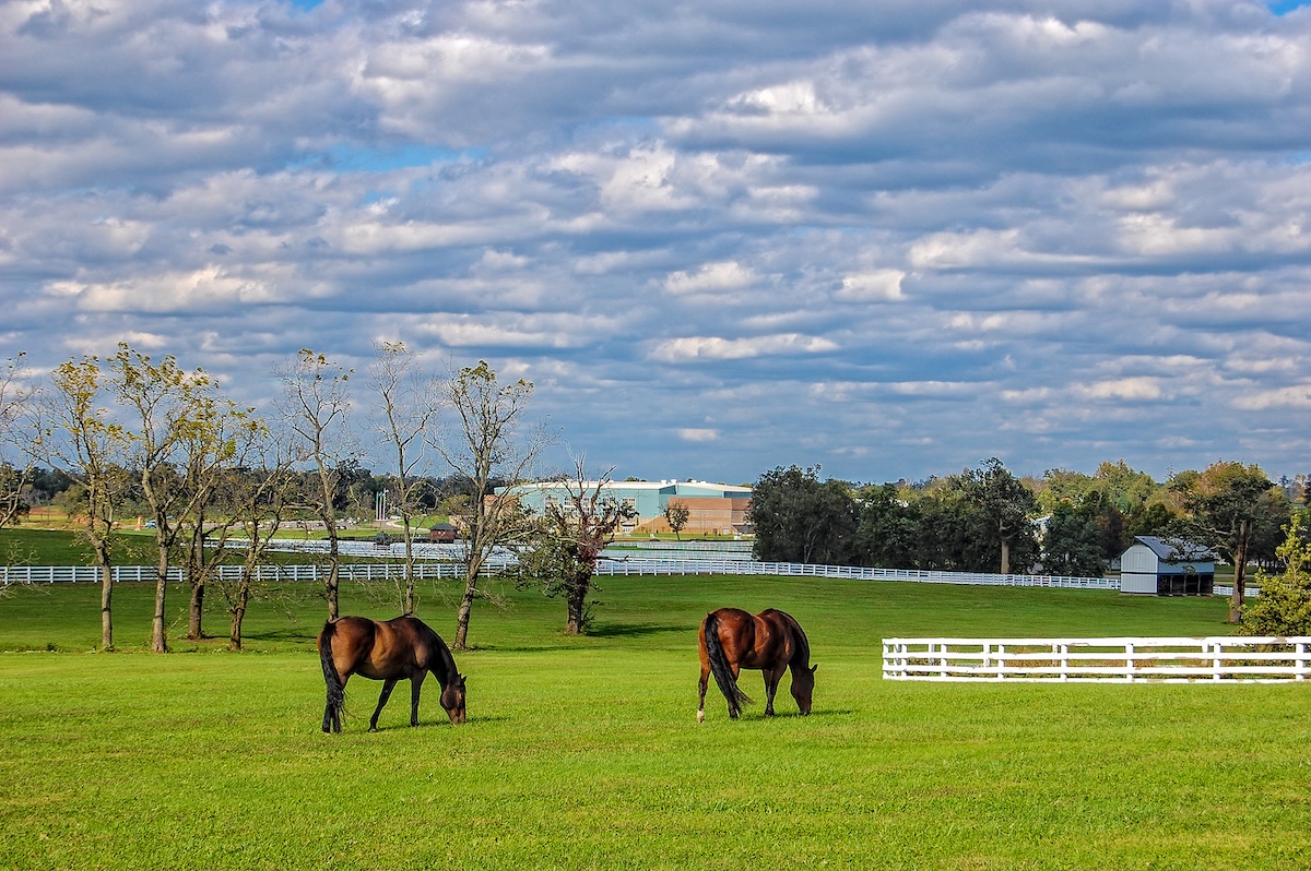 Kentucky Horse Park