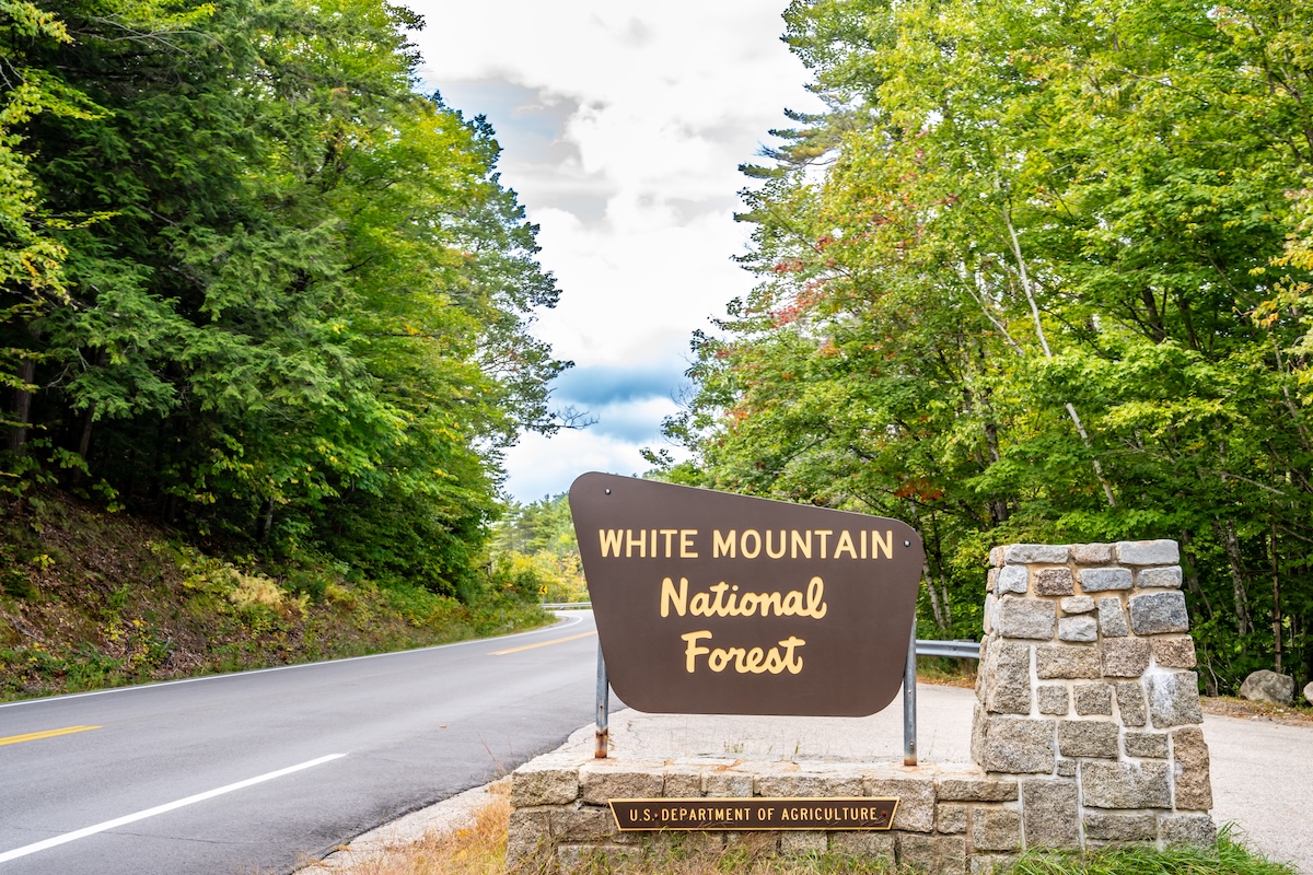 White Mountain National Forest