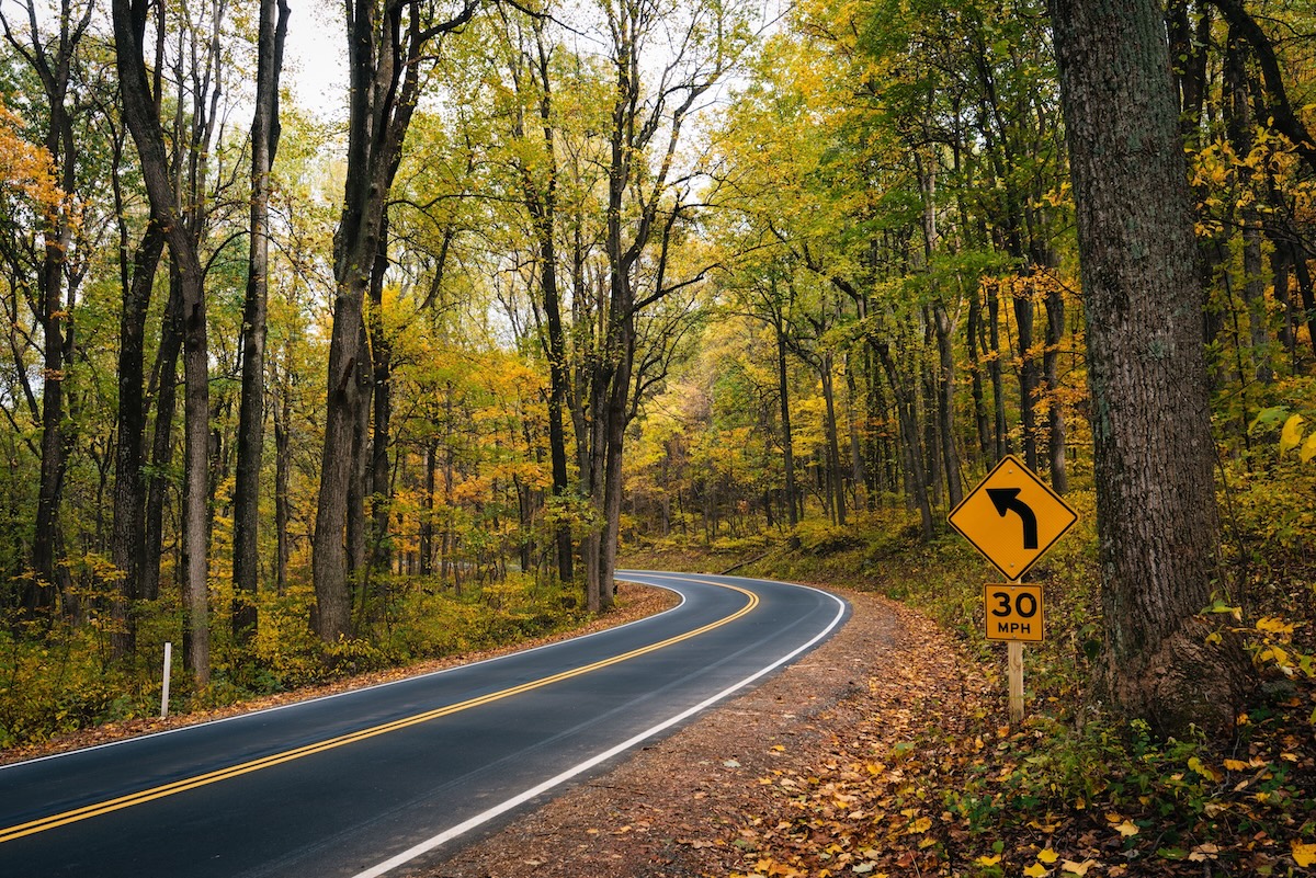 Shenandoah's Skyline Drive