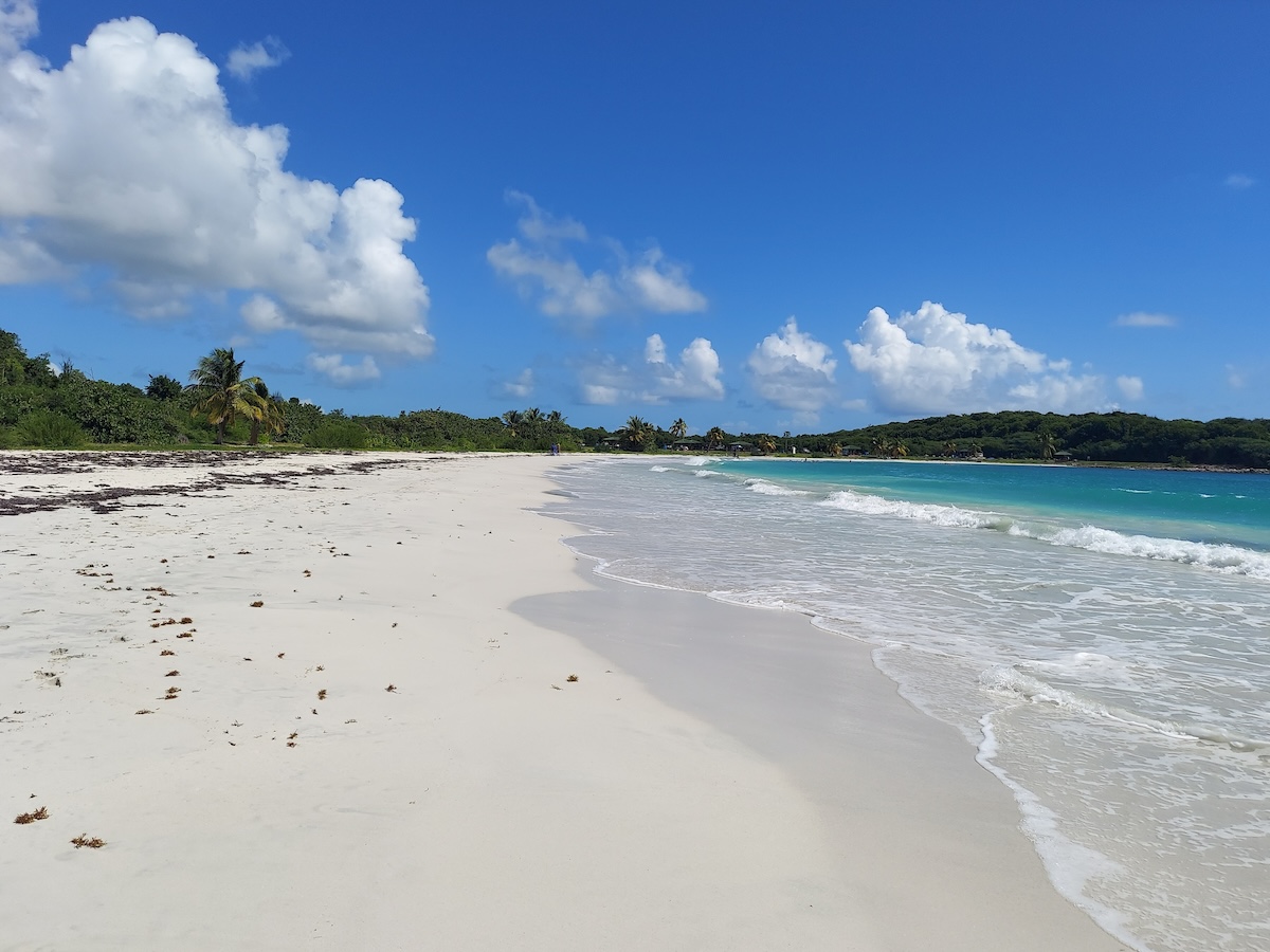 Vieques